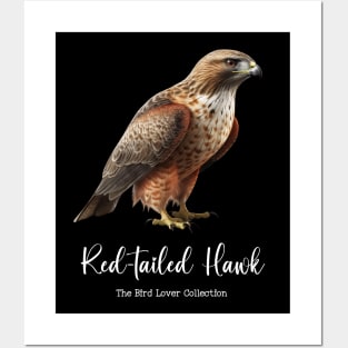 Red-tailed Hawk - The Bird Lover Collection Posters and Art